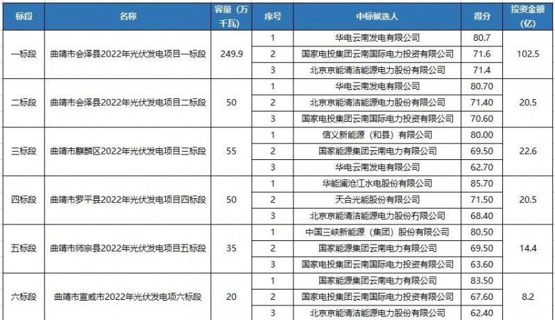 罗平县最新招标公告全面解析