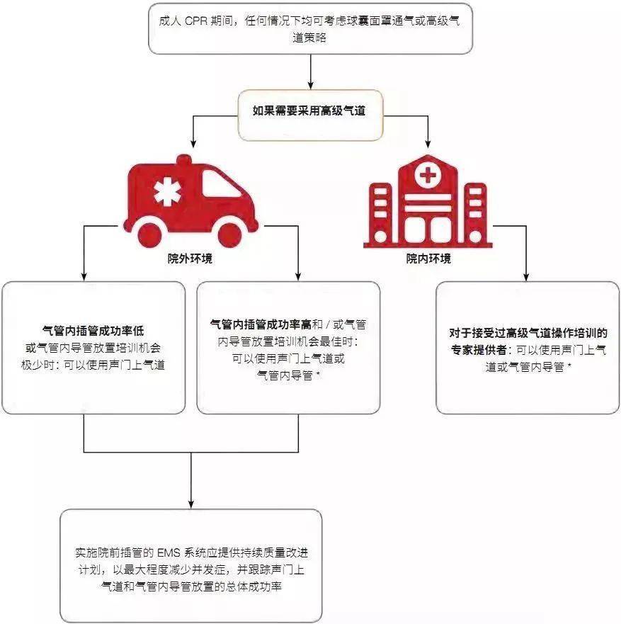 解读最新心肺复苏指南，从原版解读到最新更新内容