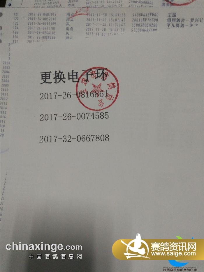 大连市信鸽协会最新公告发布，更新动态与活动通知